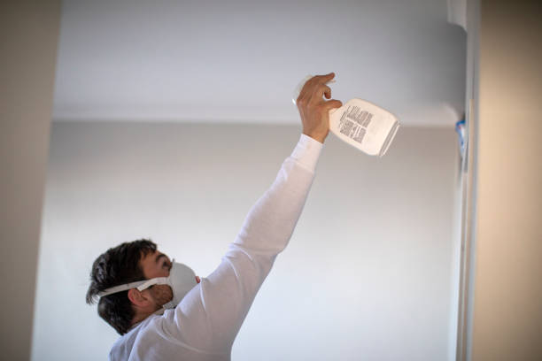 Best Crawl Space Mold Removal  in Shell Valley, ND